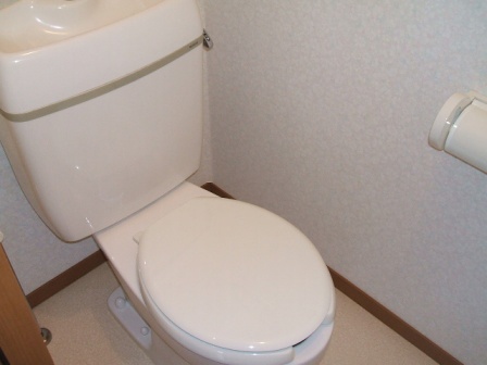 Toilet.  ※ Will be of 103, Room photo.
