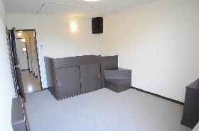 Living and room. Functional studio 2F carpet