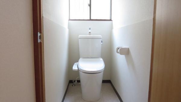 Toilet. New toilet exchange