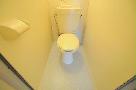 Toilet. Bright and spacious toilet