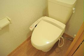 Toilet. It is a comfortable toilet with warm water washing toilet seat