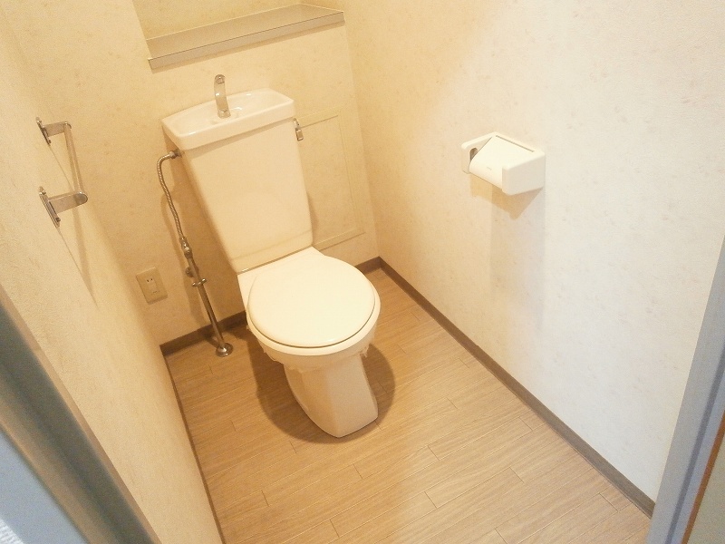 Toilet