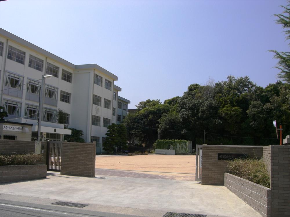 Primary school. Arakawa elementary school