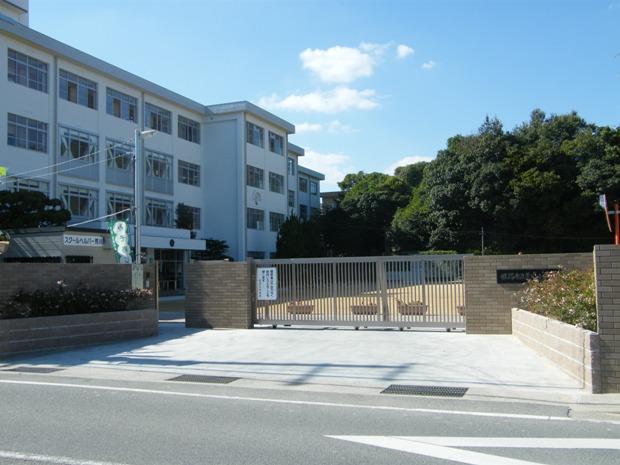 Primary school. Arakawa elementary school about 800m