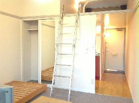 Living and room. closet, Large-capacity storage space of the loft with