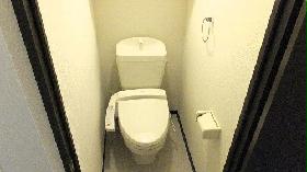 Toilet. It is with a bidet.