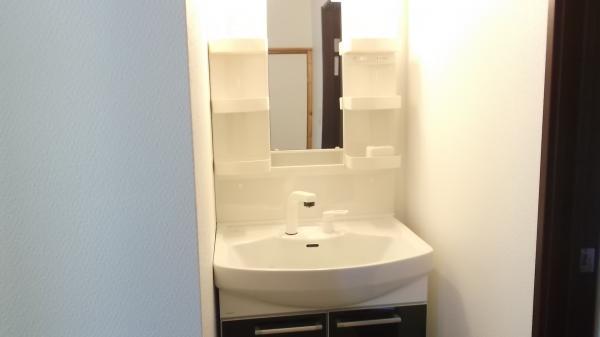 Wash basin, toilet. New vanity W750