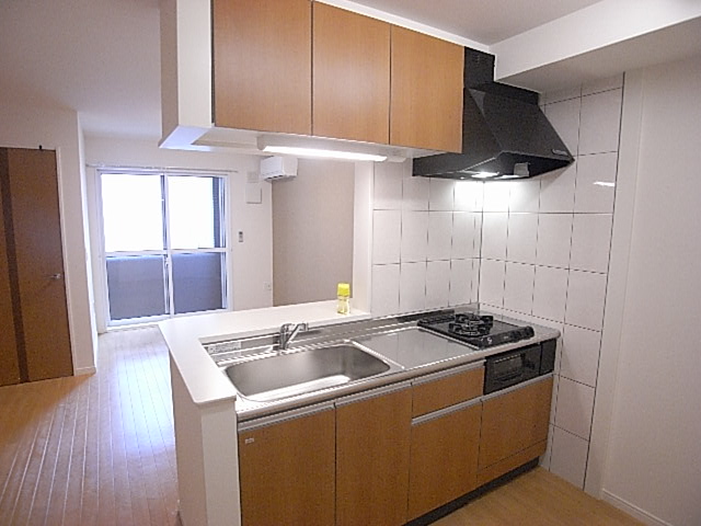 Kitchen. The photograph is a property of the same model