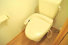 Toilet. It is a comfortable warm water washing toilet seat