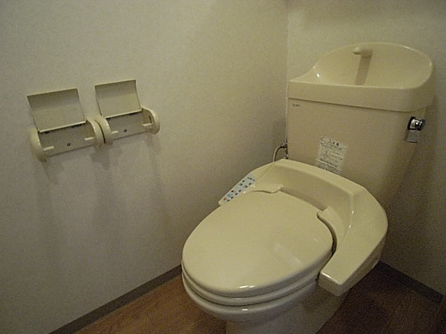 Toilet. In fact and will vary in the photograph of the same type