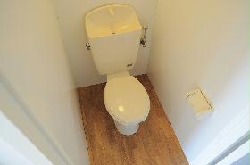 Toilet. Western-style toilet seat.