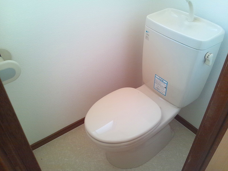 Toilet. Exchange did Western-style toilet