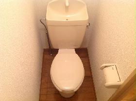 Toilet. There comfortable size