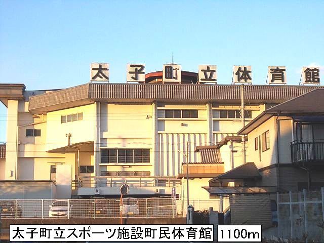 Other. Taishi standing gymnasium (other) up to 1100m