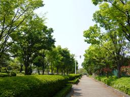 park. 1204m until Nishiinoshishi name park
