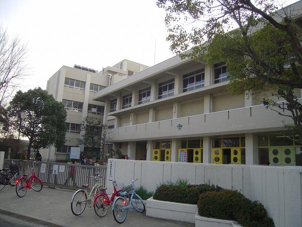 Other. Ogino elementary school About 550m