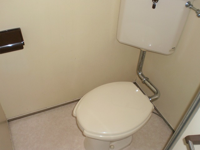 Toilet. Toilet