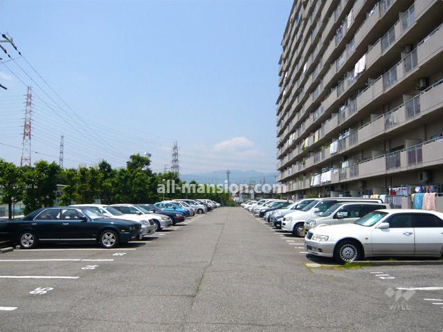 Parking lot. Common areas