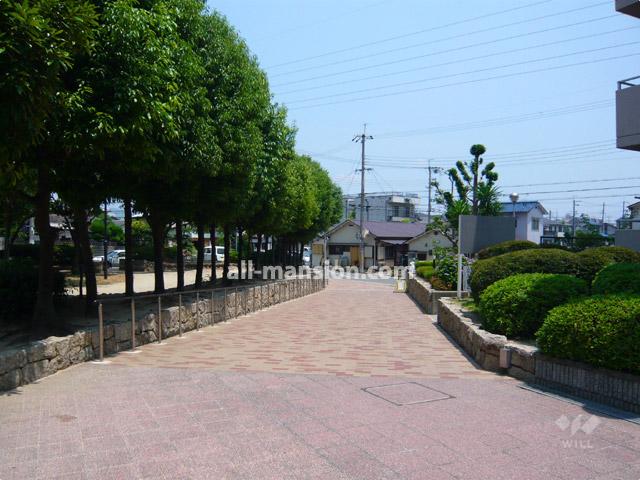 Other local