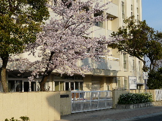 Junior high school. 1202m to Itami Matsuzaki junior high school (junior high school)