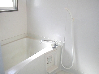 Bath. It is a clean bath with a window