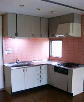 Kitchen. It is a popular L-shaped kitchen