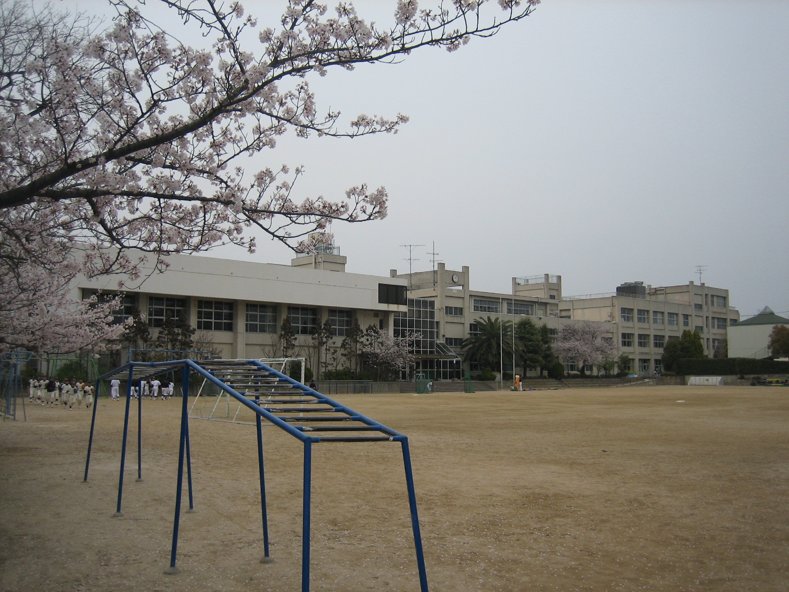 Primary school. 419m to Itami Sakuradai elementary school (elementary school)