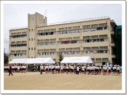 Primary school. 229m to Itami Municipal Mizuho elementary school (elementary school)