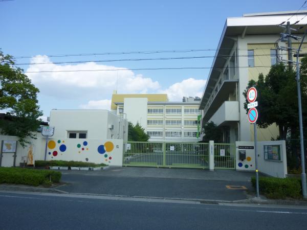 Primary school. Tohi 700m up to elementary school