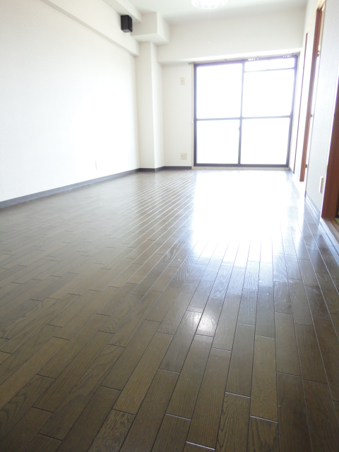 Living and room. South-facing bright LDK10.5 Pledge ^^