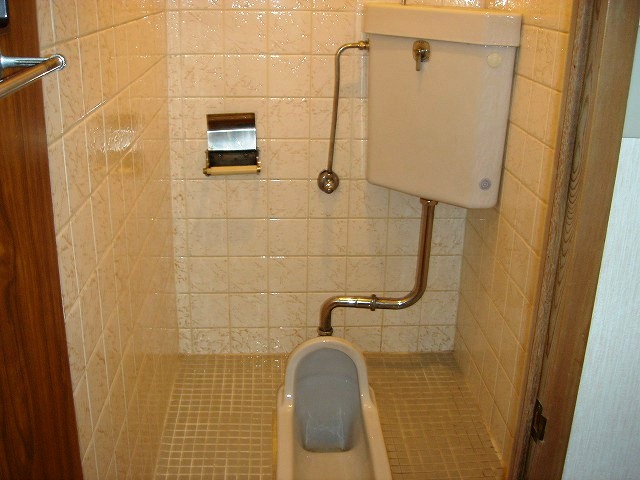 Toilet