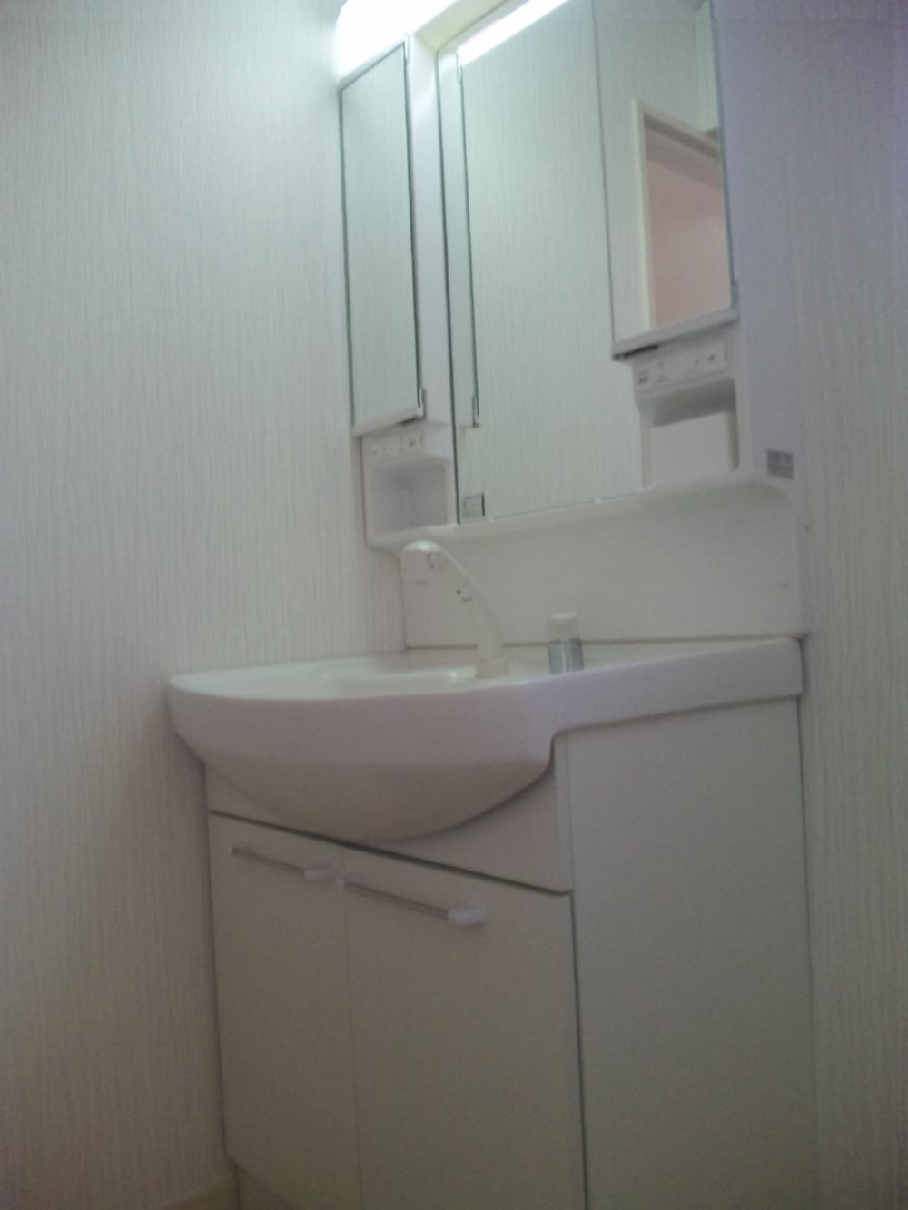 Wash basin, toilet. Indoor (September 2013) realistic shooting Shampoo dresser basin