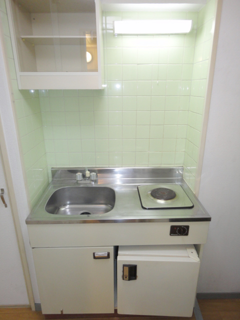 Kitchen. Electric stove ^^