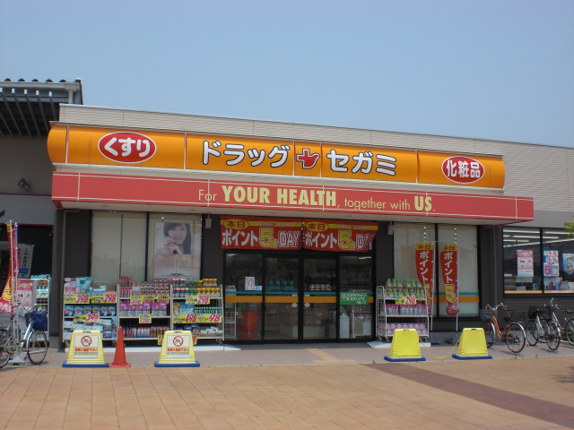 Dorakkusutoa. Drag Segami Kakogawa Station shop 538m until (drugstore)