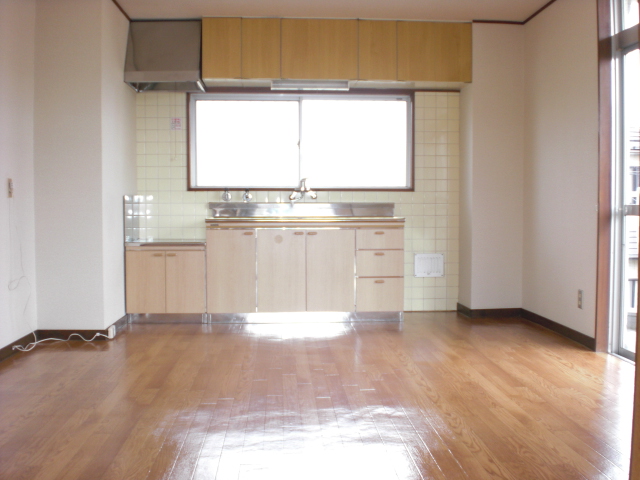 Kitchen. Bright two-plane daylight DK7 Pledge ^^