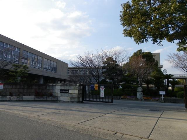 Junior high school. Kakogawa 1100m until junior high school