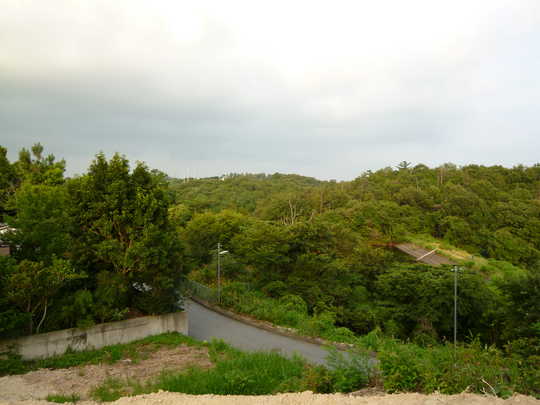 View photos from the local