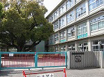 Primary school. 124m to Beppu elementary school (elementary school)