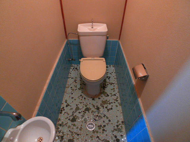 Toilet