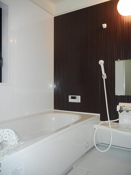 Same specifications photo (bathroom). Other issue areas