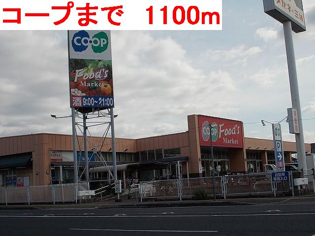 Supermarket. 1100m to the Co-op (super)