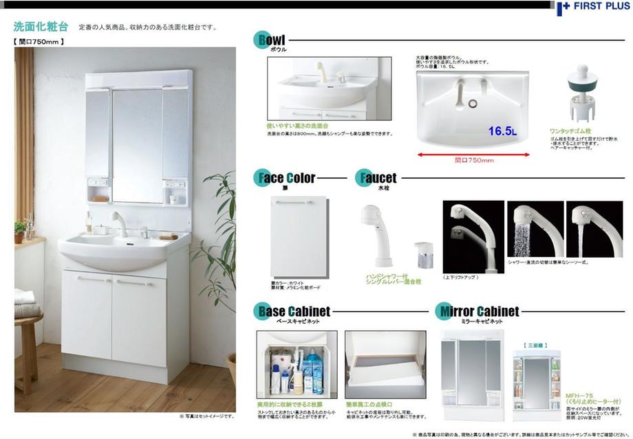 Wash basin, toilet. Vanity specification