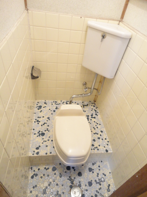 Toilet. Japanese style toilet!
