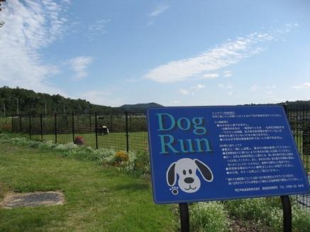 Other.  [Company service area] There is a dog run!