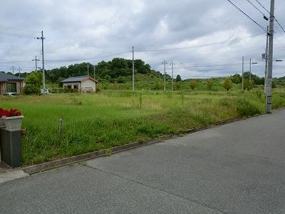 Local land photo