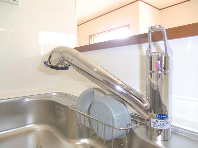 Other Equipment. Local photo (water purifier built-in hand shower)