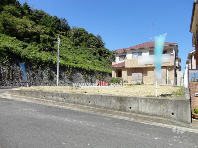 Local appearance photo. Property appearance