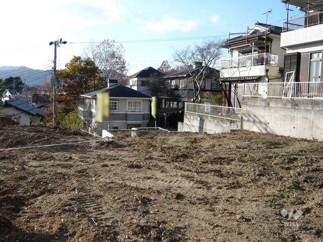 Local land photo. Property (from the east)