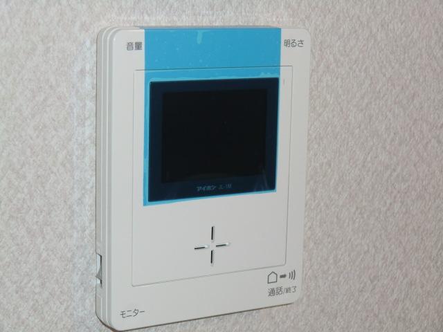 Security equipment. Local photos (color monitor intercom)