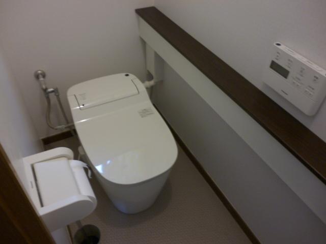 Toilet. Sensor type of toilet (lighting also attaches the sensor)